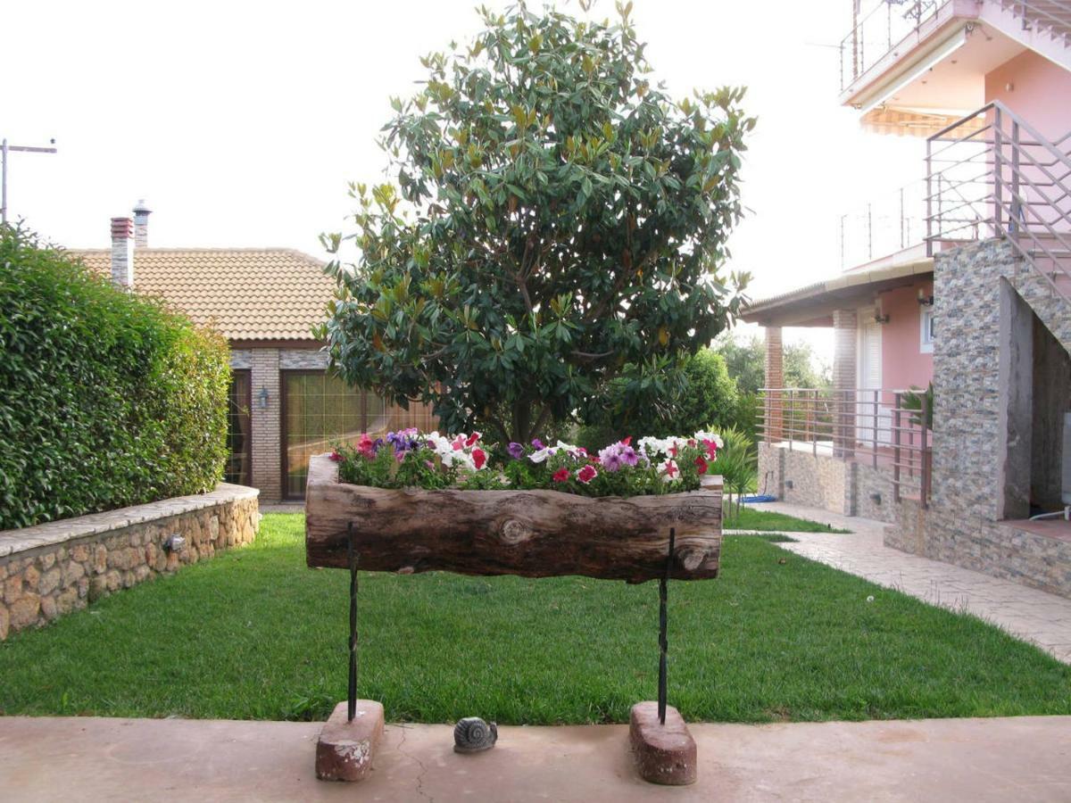 Cozy Flats In An Olive Grove By The Sandy Beach Kánalos Exteriér fotografie
